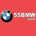 bmw555logo