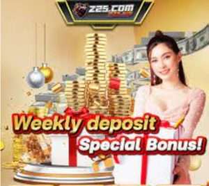 Z25 Online Casino